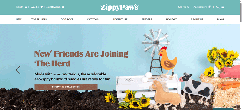 E-commerce Shopify Website